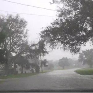 Watch: Driving through Davis Shores as Tropical Storm Nicole continues