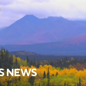 Why Alaska is seeing a farming boom