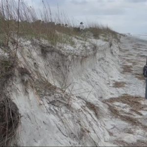 Will Atlantic Beach dunes be ready for next hurricane season?