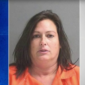 Woman stabbed 61-year-old man to death in Port Orange, police say