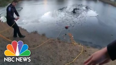 Police Bodycam Video Shows Illinois Officers Rescuing Boy, Woman From Frozen Pond