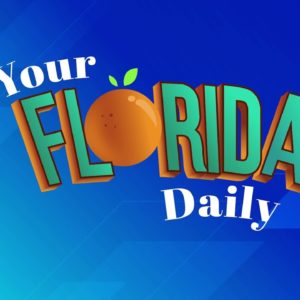 Your Florida Daily - 11/15/2022
