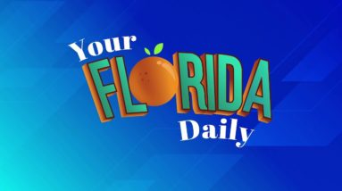 Your Florida Daily - 11/3/2022