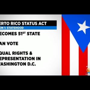 Puerto Rico Statehood And Independence Debates Reignited By House Referendum