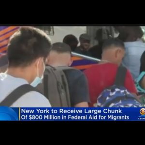 $800 Million In Funding Approved To Support Cities Hosting Asylum  Seekers