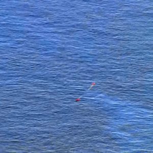 Aerial view shows helicopter submerged in Tampa Bay after crash