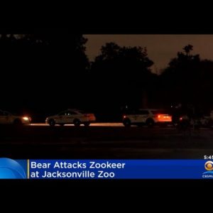 Bear Attacks Zookeeper At Jacksonville Zoo