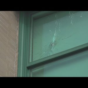 Bullets in window at City Hall