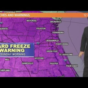 Cold surge with freezing temperatures blows in across the First Coast
