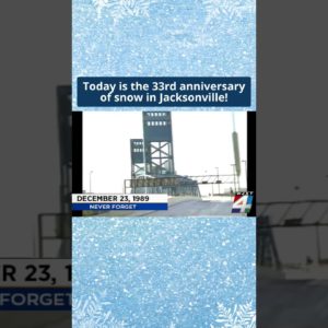 Remember? Snowstorm hits Jacksonville in December 1989 🎅🎁❄️ #shorts #snow #florida