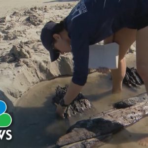Erosion Reveals 1800s Shipwreck On Florida Beach