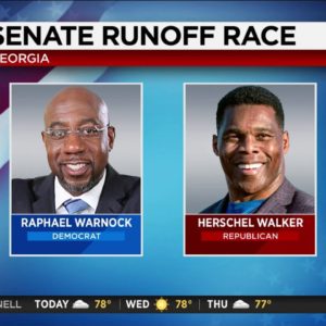 Georgia Senate runoff to be decided today