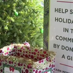 'Giving Tree' spreads holiday joy to students in need