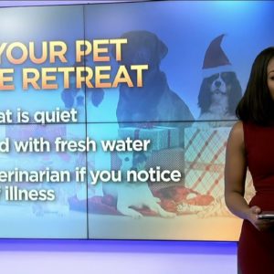 Holiday Pet Dangers: Give your pet a safe retreat