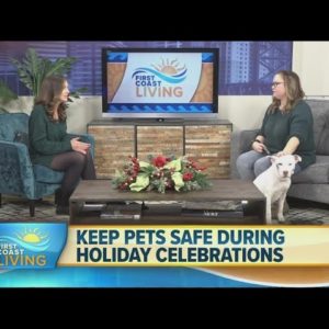 Keeping our pets safe this holiday season