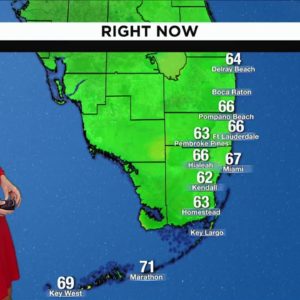 Local 10 Weather: 12/12/2022 Morning Edition
