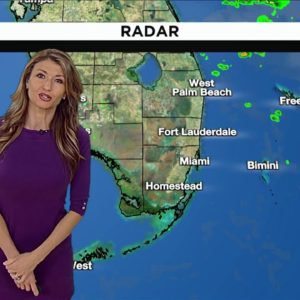 Local 10 Weather: 12/13/2022 Morning Edition