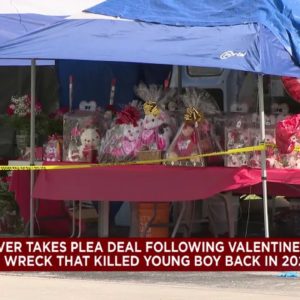 Man takes plea deal in fatal flower stand crash