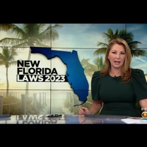 New Year Brings New Laws To Florida