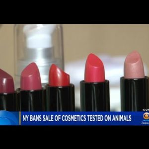 New York Becomes 10th State To Ban Cosmetics Tested On Animals