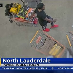 Police Search For Lauderdale Tool Thieves