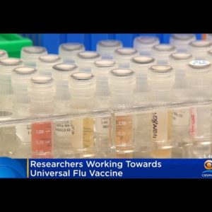Researchers Developing A Universal Flu Vaccine