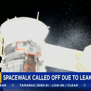 Spacewalk Called Off Due To Leak