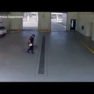 Tampa Officer Fired After Dragging Handcuffed Woman Into Jail