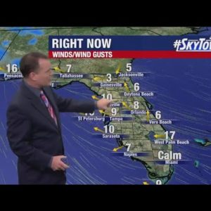 Wednesday morning Tampa Bay weather forecast Dec. 14