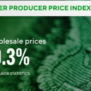 Wholesale prices rose in November amid efforts to cool inflation