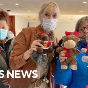 Woman gifts hundreds of stuffed animals to seniors