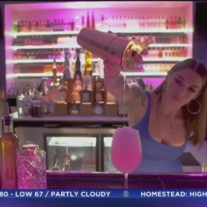 Taste Of The Town: Rosa Sky Bar and Lounge is Miami's newest rooftop hot spot