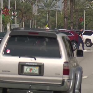 2 dead after being struck by vehicle near Gulf Boulevard