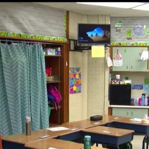 Brevard Public Schools leaders implement new disciplinary rules