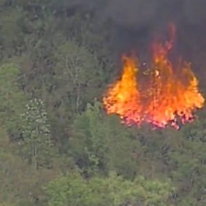 Burning brush to prevent fires in Central Florida