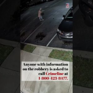 Dramatic video released by Casselberry police shows a violent purse snatching