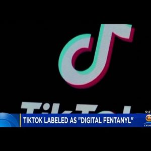 TikTok Called "Digital Fentanyl" By Chairman Of House Select Committee On China