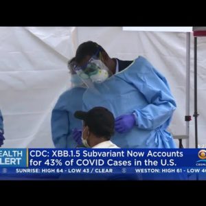 CDC: XBB.1.5 Subvariant Accounts For 43% Of U.S. COVID Cases