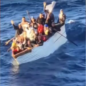 Cruise ship crews rescue migrants stranded at sea