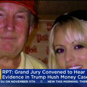Evidence Of Alleged Trump Hush Money Payments To Stormy Daniels Presented To Grand Jury