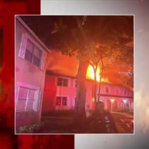 Fire rescue crews save cats, rabbits after blaze in Coral Springs condo