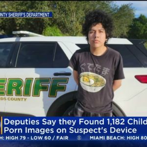 Florida Man With 1,182 Child Porn Images Arrested