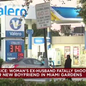 Police in Miami Gardens investigate unrelated domestic shooting incidents