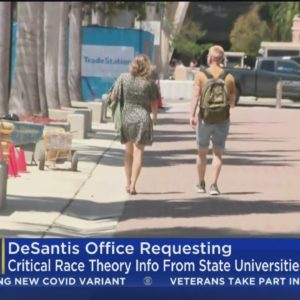 DeSantis admin asks universities to report resources used for diversity, critical race theory initia