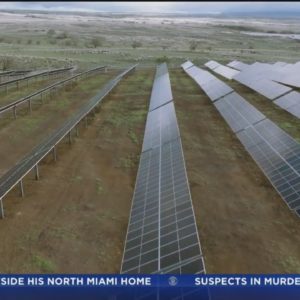 Hawaii transitioning to renewable energy faster than most thought possible