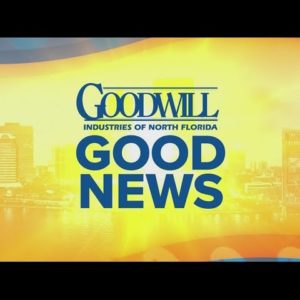 Introducing Goodwill Good News