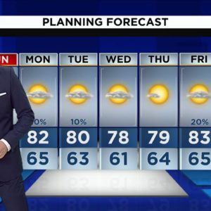 Local 10 News Weather: 01/08/2023 Morning Edition
