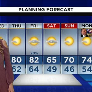 Local 10 News Weather: 01/11/2023 Morning Edition
