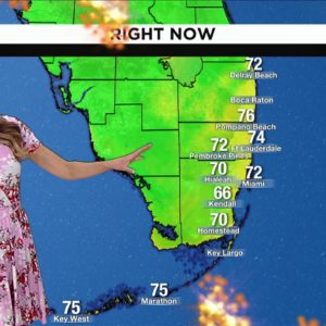 Local 10 News Weather: 01/31/2023 Morning Edition