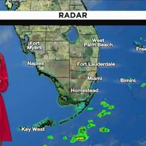 Local 10 News Weather 1/09/2023 Morning Edition